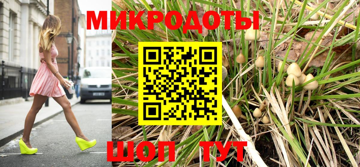 Воткинск  Галлюциногенные грибы Psilocybe  Вход с VPN 